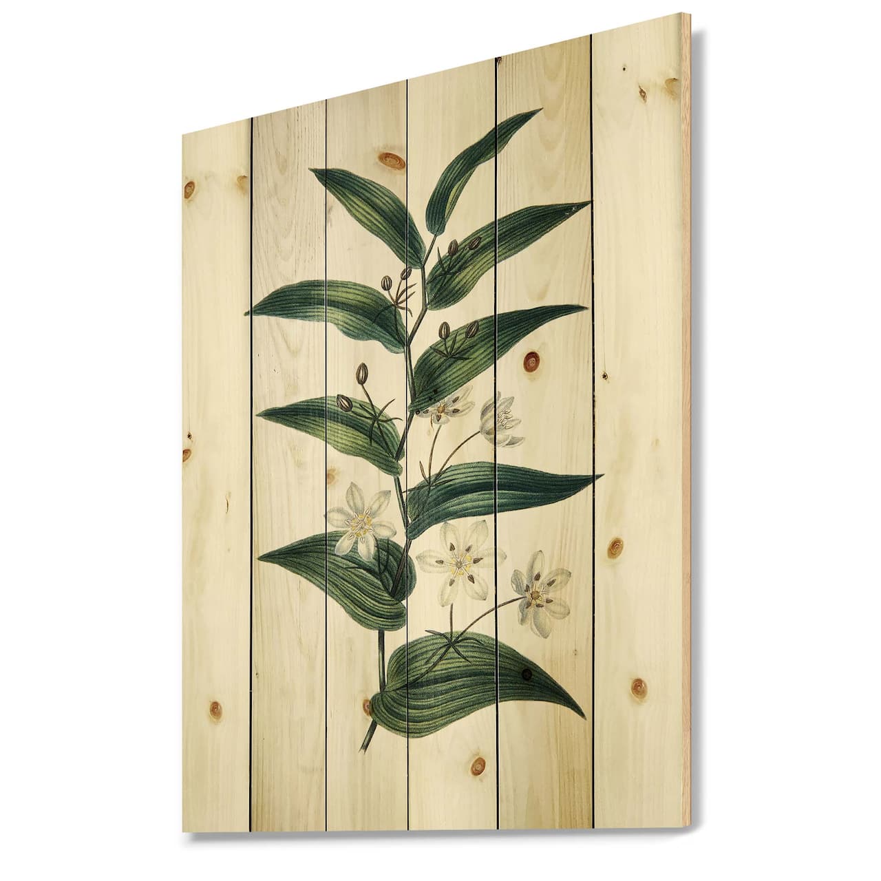 Designart - Vintage Plant With Little White Flowers - Farmhouse Print on Natural Pine Wood